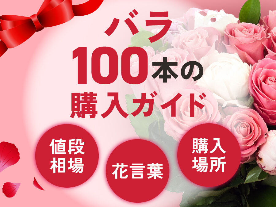 バラ100本の値段と購入方法を徹底解説